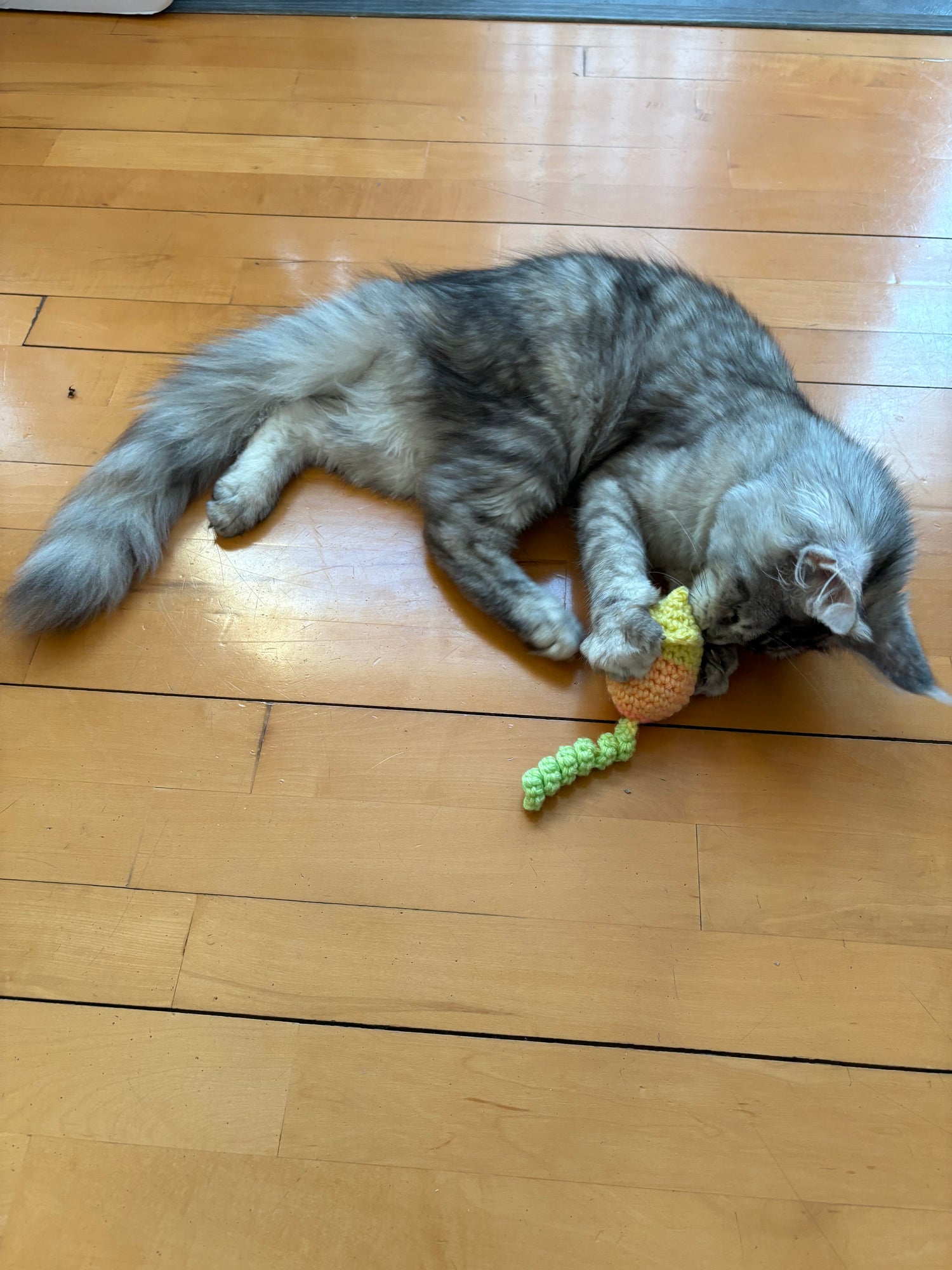 Cat Toy